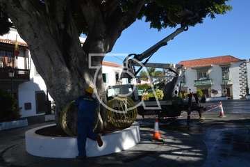 Alumbrado navideño de la plaza de San Juan (Foto TA)